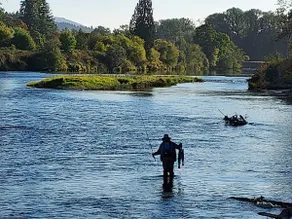The Lewis River Salmon Shores - Image 5