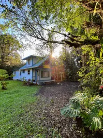 Rainforest Retreat Sun Cottage near Volcano Park - Image 5