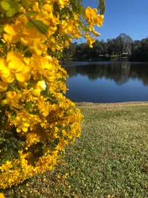 Waterfront-Community Home - Image 2