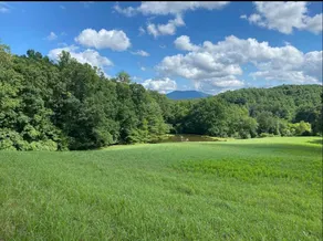 Middleside Farmhouse And Meadows, No Pet Fees - Image 3