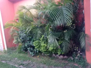 Villa Maria Tu casa en Morelos - Image 3