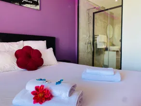 Glamorous naturist apartment - Image 4