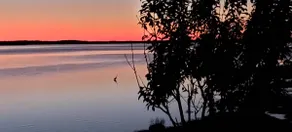 Blue Heron Haven - Image 5