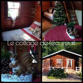 The air-conditioned Squirrel Cottage and its pool - Image 2