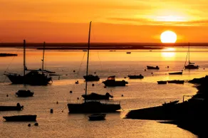 Home by the Sea – Ocean & Lagoon Views - Image 5