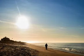 Home by the Sea – Ocean & Lagoon Views - Image 3