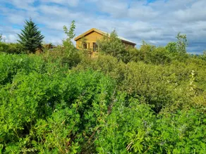 Cozy 3-bedroom cabin with stunning view - Image 2