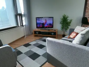 Spacious and bright apartment on the edge of the city center - Image 2