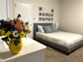 The Studio: cozy apartment near NRG National Park - Image 2