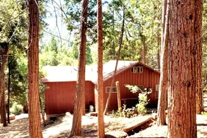 Redwood Retreat, River Access, Mountains & Nature - Image 5