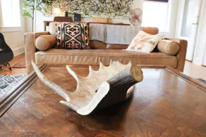 Entire Downtown Eclectic Apartment. - Image 4