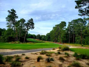 New 5 Bedroom Cottage on Pine Needles Golf Course! - Image 4