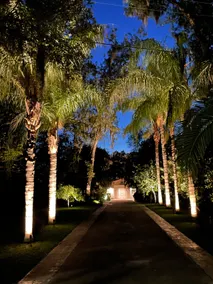 Palm Hideaway on the Cotee River - Image 4