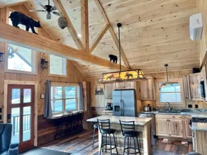 New Cabin in Eustis.Mtn, River & Dam Views - Image 4