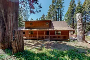 Godhan Dham - Spacious 3-bedroom Meadowview Chalet - Image 5
