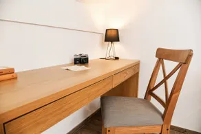 Studio Deluxe Old Town Zagreb Airport (Pool&Sauna) - Image 5