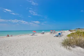 Vitamin Sea: Open Wed, $125/nt + Fees! - Image 2