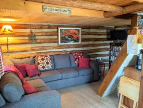\"The Hawk Nest\" cabin on Tims Ford Lake - Image 5