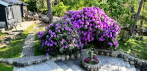 Charming house in the forest with sea view! - Image 5