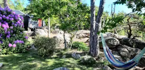 Charming house in the forest with sea view! - Image 4