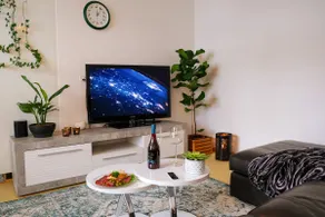 Apartment between Zurich city center and airport - Image 5