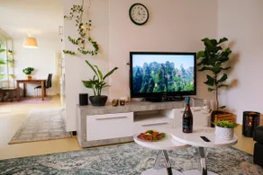 Apartment between Zurich city center and airport - Image 4