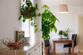 Apartment between Zurich city center and airport - Image 3