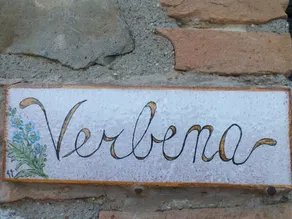 Colombaio Power - Verbena - Image 4