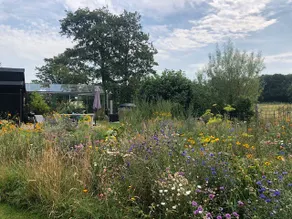 greenhouse - Image 5