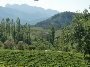 Gite du Petit Viopis country house. - Image 5