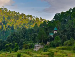 Bir Terraces : Utopia in the hills! - Image 2