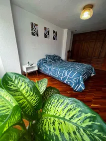 Boho chic! Beautiful and luxurious 2-bed apartment - Image 3