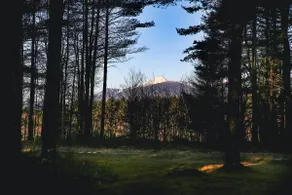 NEW Whiteface Mtn. View Cabin close to Lake Placid - Image 4