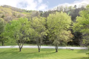 Peaceful House On River- Perfect  Mountain Getaway - Image 5