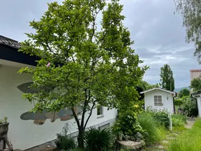 Schöne Wohnung mit Terrasse - Image 2