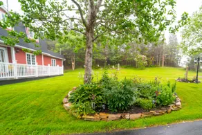 Pitcherplant Place Atlantic Suite - Image 3