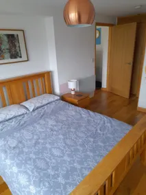 Argraig -Comfortable and modern apartment in Bala - Image 4