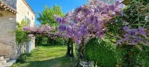 A haven of peace between Montcuq and Lauzerte (Lot) - Image 5