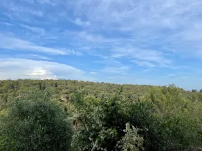 Garden level in the heart of nature - Image 2