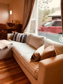 Studio near hospital and courthouse pets are free - Image 3