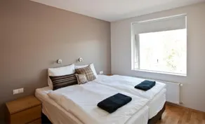 One-Bedroom Apartment with Sofa-bed *Square View* - Image 4