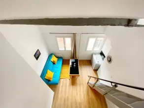 Experience Toulouse on foot • Air conditioning & Wi-Fi - Image 2