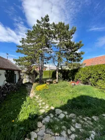 Garden apartment with a view of the storks - Image 2