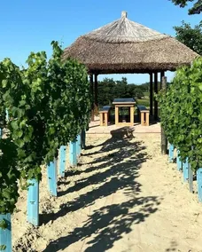 Merengő by Facsiga Winery - Image 2