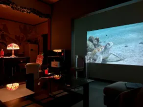Large open-air BBQ, great for girls-only gatherings [8-minute drive to Shirako Beach / large garden / projector] Sea, nature, 7 people - Image 3