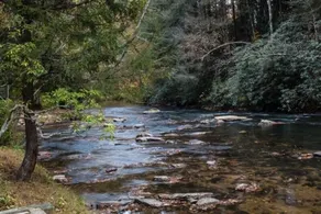 Riverfront cabin with WiFi, 2 fireplaces, game room, pool table and hot tub. - Image 3
