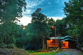 Secluded Forest Cabin | Dog Friendly Getaway - Image 3