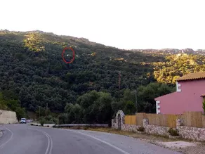 Polios - Image 2