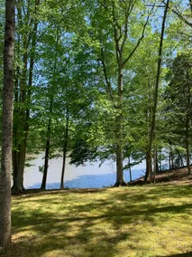 Lakefront Cabin- Blue Heron Hideaway - Image 3