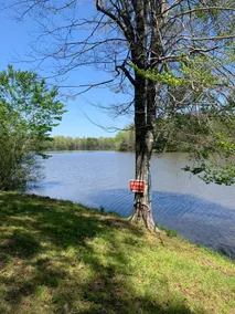 Lakefront Cabin- Blue Heron Hideaway - Image 4